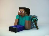 Steve Steve