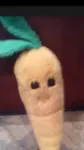 Mr.Carrot Mr.Carrot