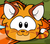 Cat Puffle Cat Puffle