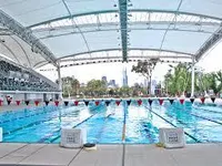Swimming Swimming