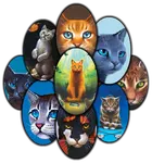 Warrior cats? Warrior cats?