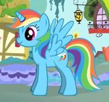 Rainbow Dash Rainbow Dash