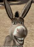 Donkey (Shrek) Donkey (Shrek)