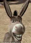 Donkey (Shrek) Donkey (Shrek)
