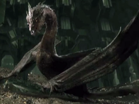 I like the great and terrible dragons of Middle Earth. Driven by their greed they inflict such devastation. Their so powerful! I like the great and terrible dragons of Middle Earth. Driven by their greed they inflict such devastation. Their so powerful!