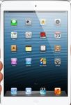 iPad iPad