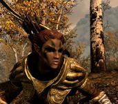 wood elf wood elf