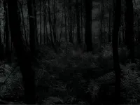 Dark