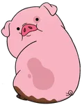 Waddles
