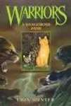 5: A dangerous path 5: A dangerous path