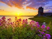 Beautiful pics in Life Beautiful pics in Life