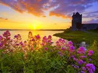 Beautiful pics in Life Beautiful pics in Life