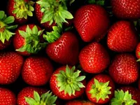 Strawberries Strawberries