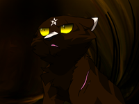 Raggedstar Raggedstar