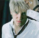 draco draco