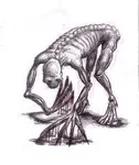 The Rake(scares the F**K out of me) The Rake(scares the F**K out of me)