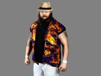 Bray Wyatt Bray Wyatt