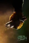 Michelangelo Michelangelo