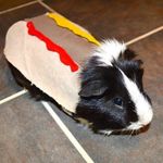 Genie Hotdog Genie Hotdog