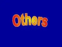 OTHERS OTHERS