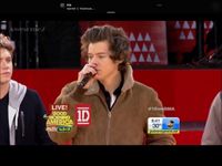 Harry Harry