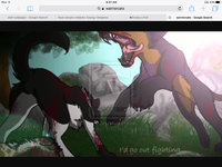Warriorcats Warriorcats