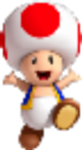 Toad/Bernie Sanders Toad/Bernie Sanders