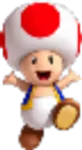 Toad/Bernie Sanders Toad/Bernie Sanders