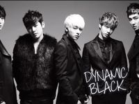 Dynamic Black Dynamic Black