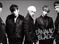 Dynamic Black Dynamic Black