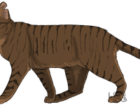 Dustpelt Dustpelt