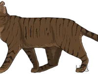 Dustpelt Dustpelt