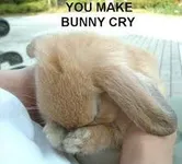 No No