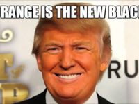 Dis Trump Dis Trump