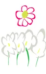 daisy queen daisy queen