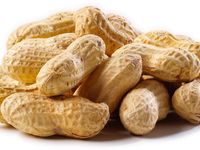 Peanuts Peanuts