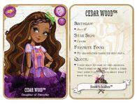 Cedar Wood Cedar Wood