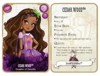 Cedar Wood Cedar Wood