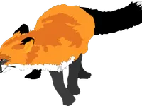 Foxin