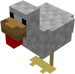 chicken