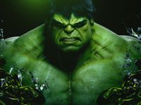 The Hulk The Hulk