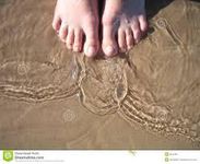 Pointer Toe Pointer Toe