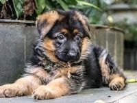 Or this Or this