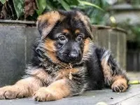 Or this Or this