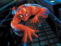 spider man spider man