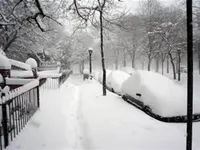 Blizzards Blizzards