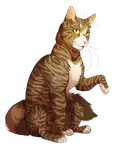 Leafpool