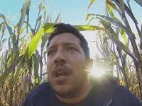 Field Of Screams