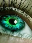 Green! <3 Green! <3