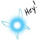 Navi Navi
